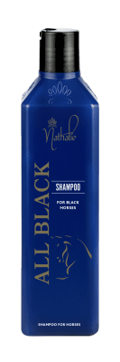 All Black Schampoo 500 ml