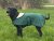 Dog Coat Functional fleece