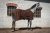 Nice Ride Svett & Transporttäcke, Bonded Fleece