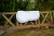 Finesse Saddle Pad