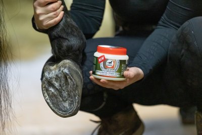 Nytt och innovativt - Hovbalsam med prebiotiska näringsämnen!