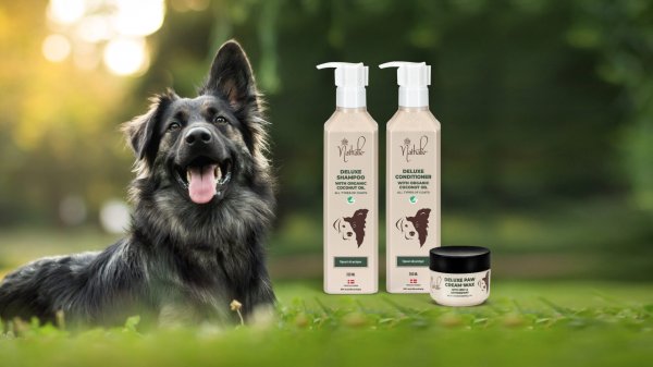 För att vi gillar hundar också!