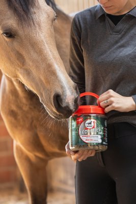 Leovet Leoveties Carott & Linseed Cold-Pressed 1100 gr