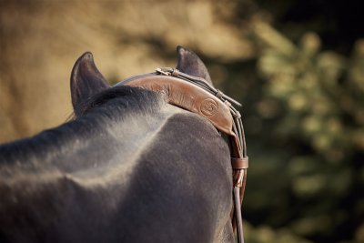 Finesse Himalaya Bridle