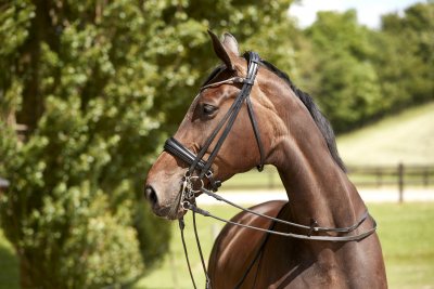 Finesse Cayenne Double Bridle