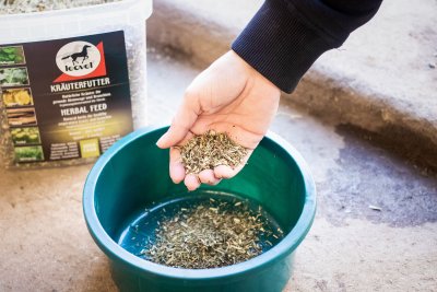 Leovet Herbal Feed 800 gr