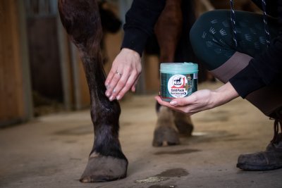 Leovet Cold Pack 1000 ml