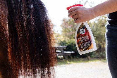 Leovet Coat Sheen & Tangle Free Spray 500 ml