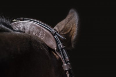 Finesse Cayenne Double Bridle