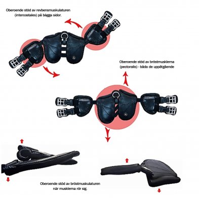 Freedom Dressyrgjord