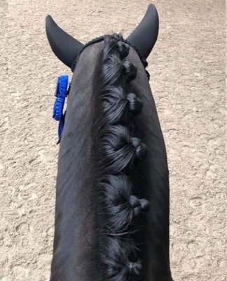 Strong Hold Plait Spray 250 ml