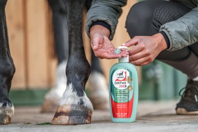 Leovet Cold Pack Plus 500 ml