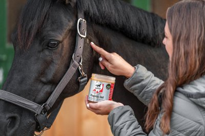 Leovet First Aid Propolis Gel 350 ml