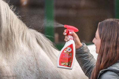 Leovet Power Detangler Camomile 550 ml