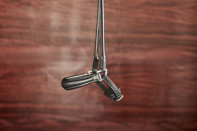 Finesse Spirit Bridle