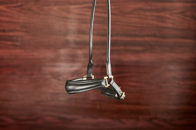 Finesse Spirit Bridle