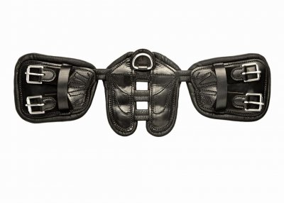 Freedom Dressyrgjord