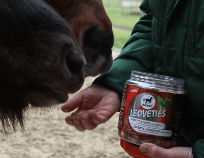 Leovet Leoveties Mint Mango 1100 gr