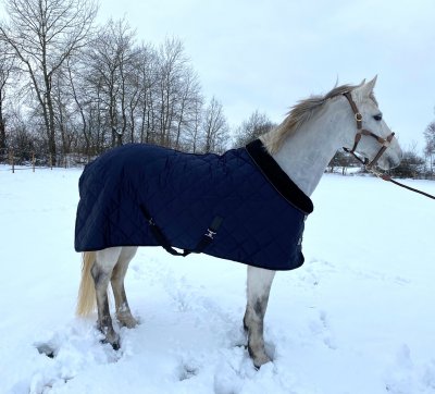 Stalltäcke Quiltat med pälskrage
