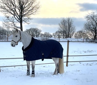 Stalltäcke Quiltat med pälskrage